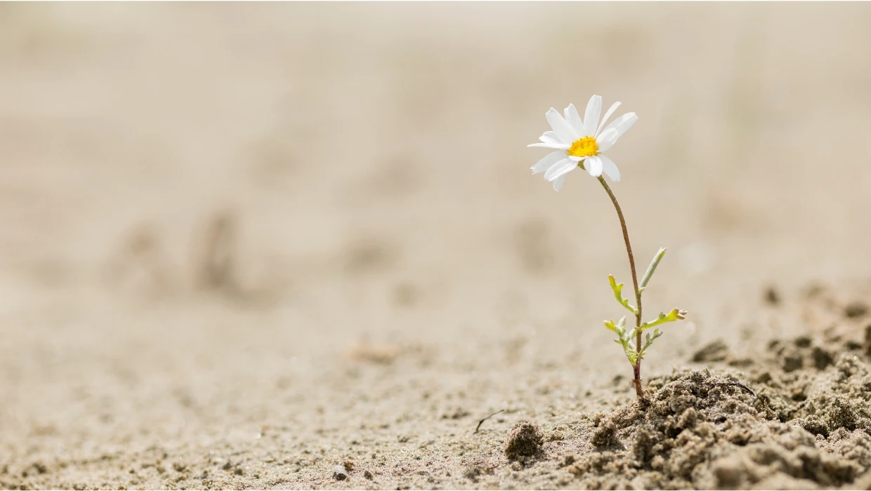 Comment développer votre résilience