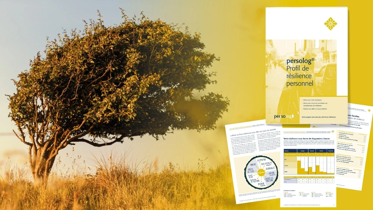 Profil de résilience personnelle persolog® : outil de développement de la force intérieure, de l’agilité et de la gestion du changement
