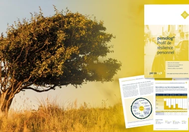 Profil de résilience personnelle persolog® : deviens plus agile et surmonte le changement avec confiance